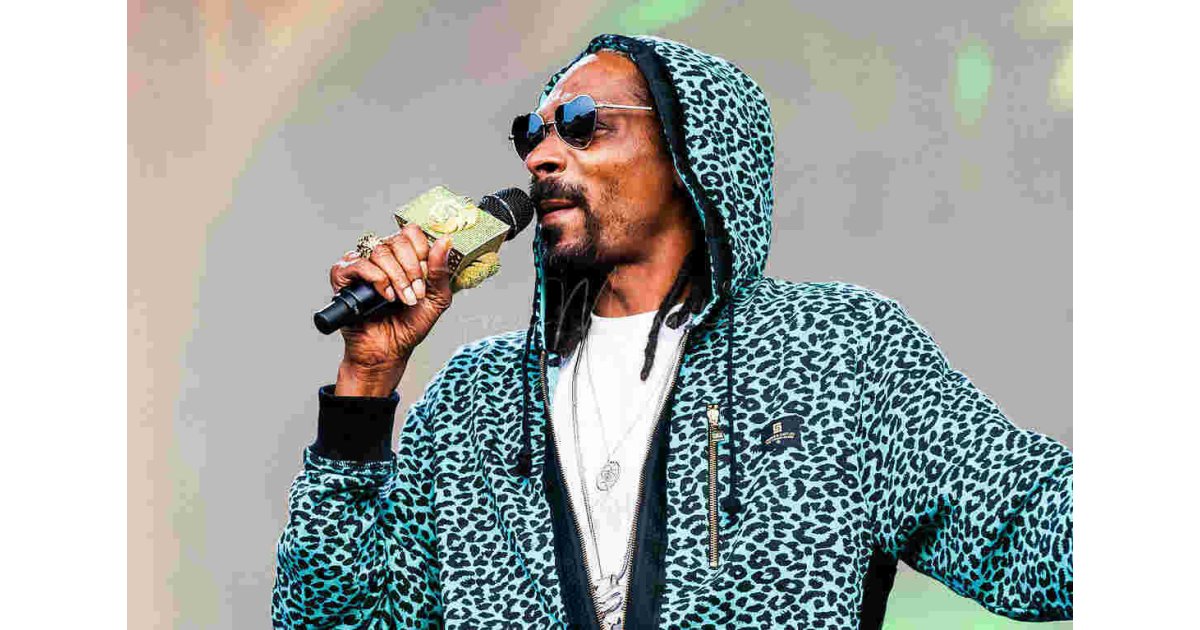 Snoop Meaning and Definition