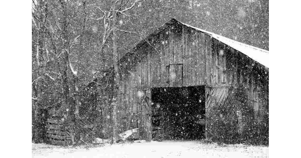 Snowy Meaning and Definition