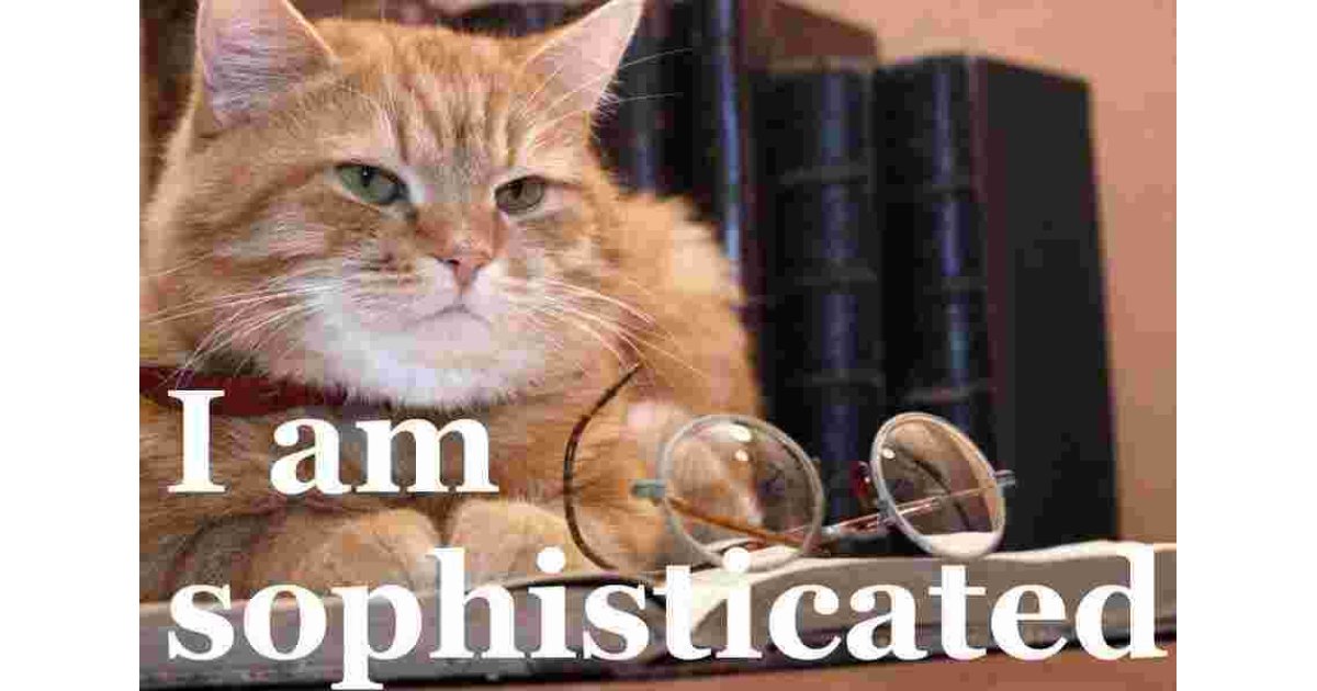 Sophisticated Meaning and Definition