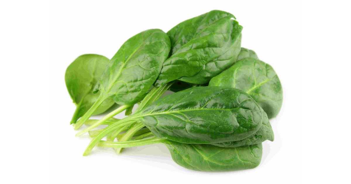 Spinach Meaning and Definition