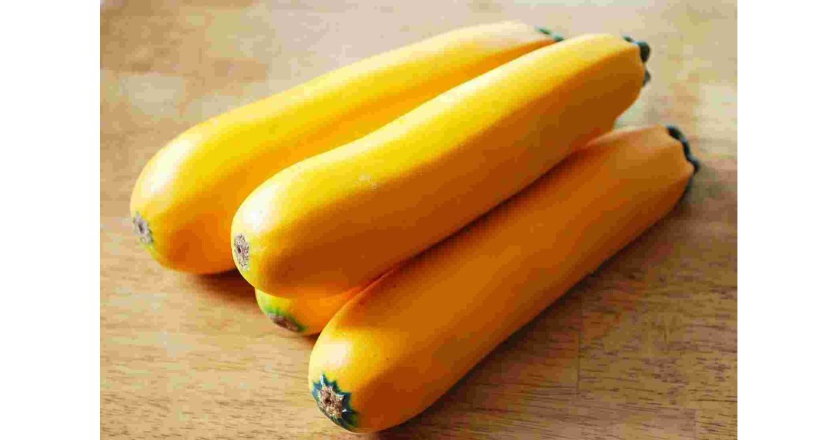 Squash Meaning and Definition