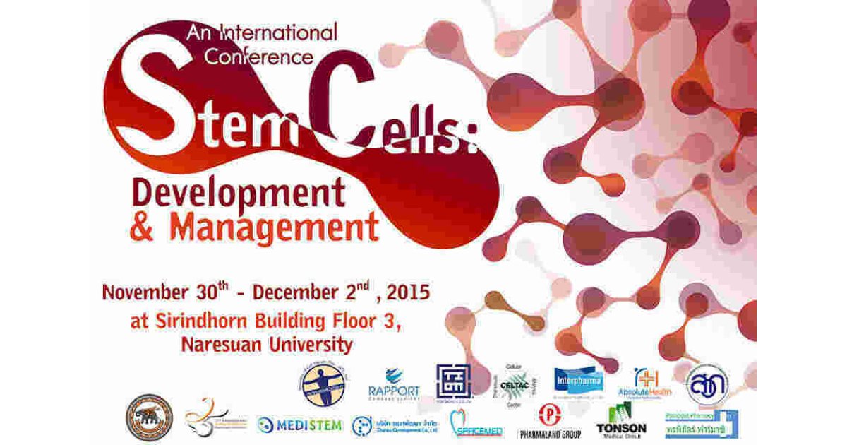 Stem Meaning and Definition