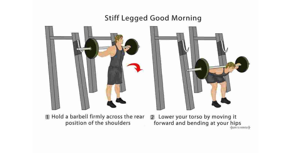 Stiff Meaning and Definition