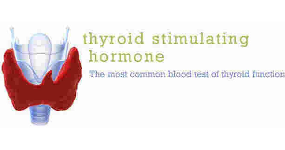 Stimulating Meaning and Definition