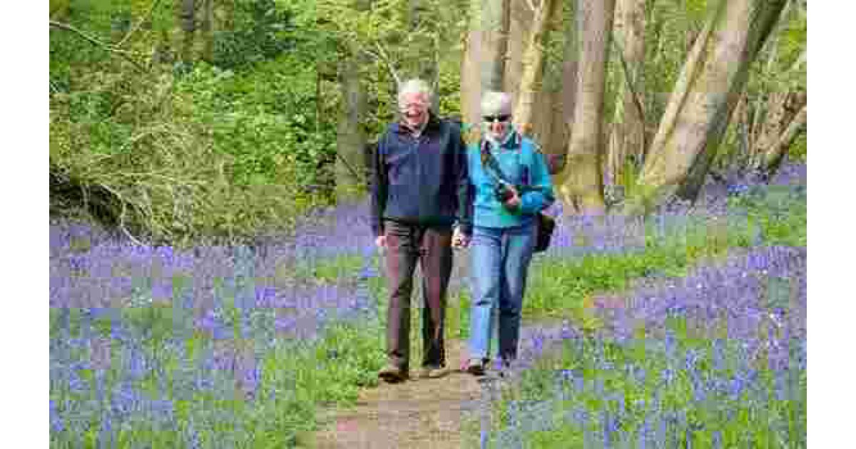 Stroll Meaning and Definition