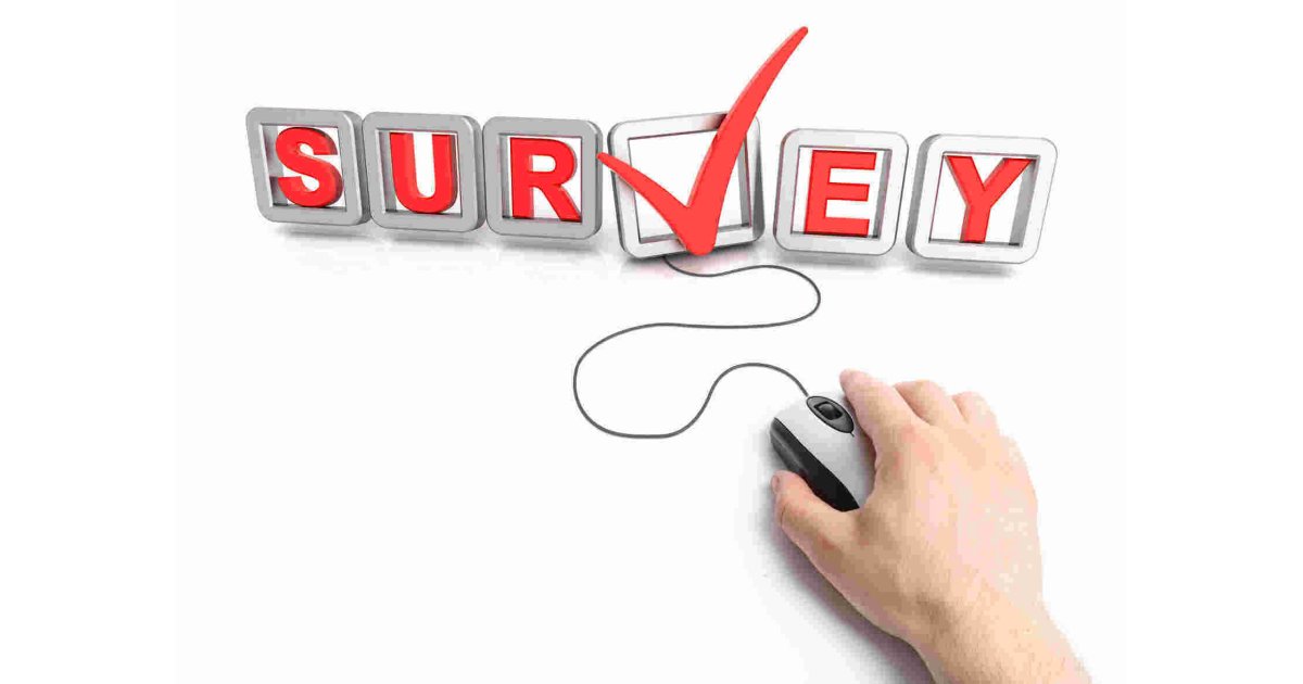Survey Meaning and Definition