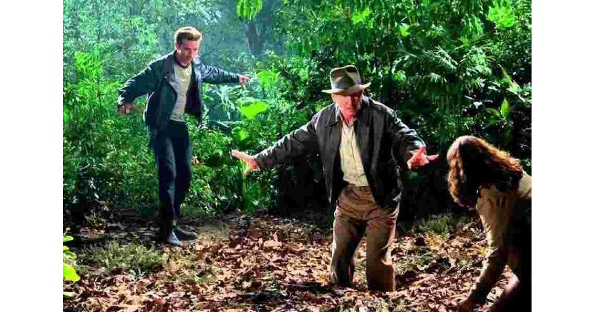 Swamp Meaning and Definition