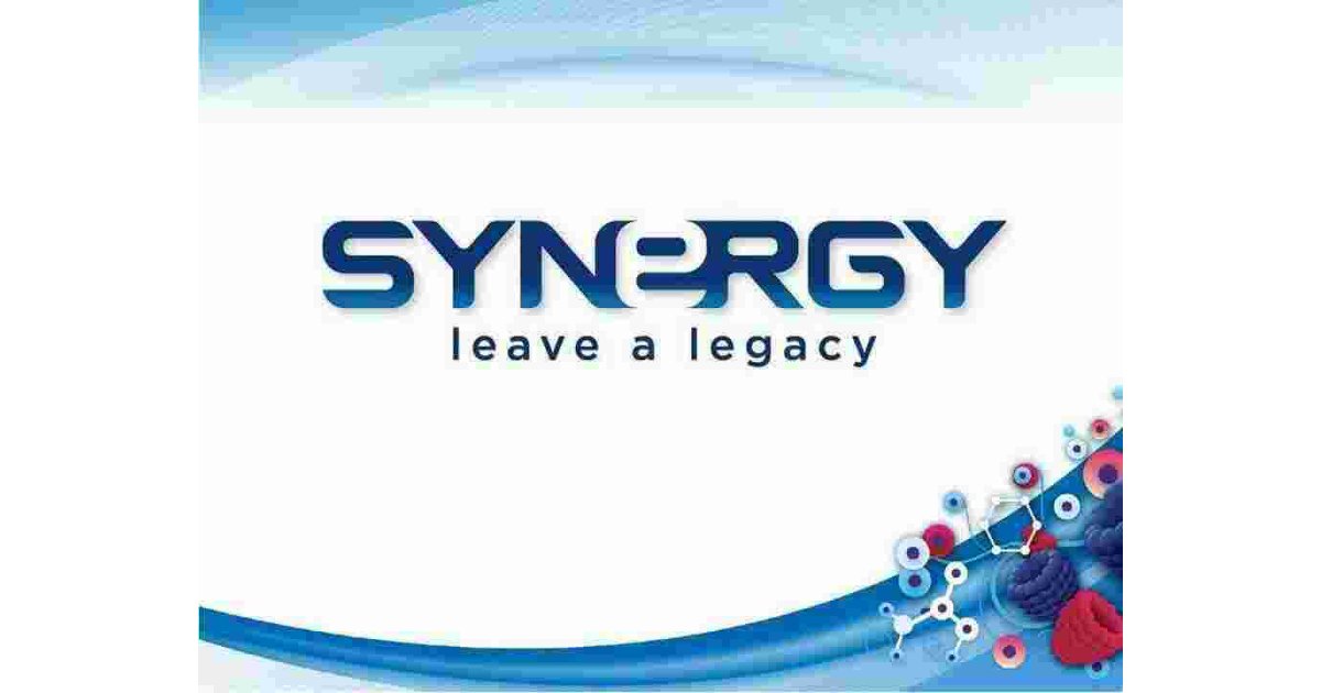 Synergy Meaning and Definition