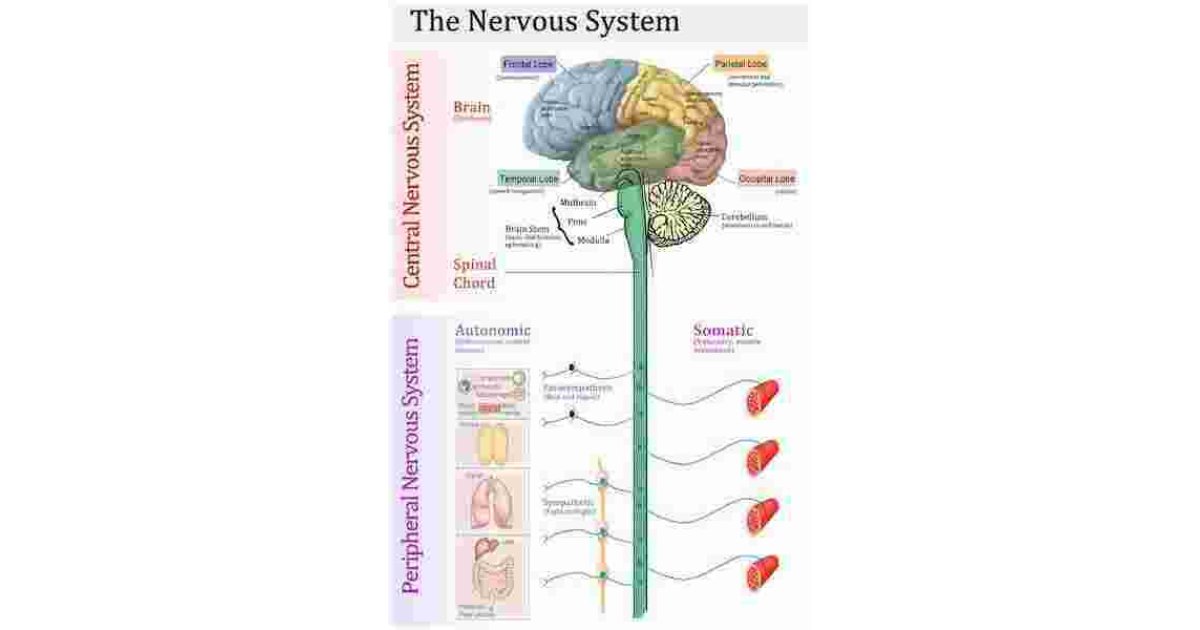 System Meaning and Definition