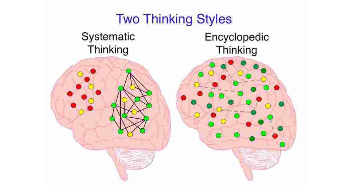 Systematic Meaning and Definition