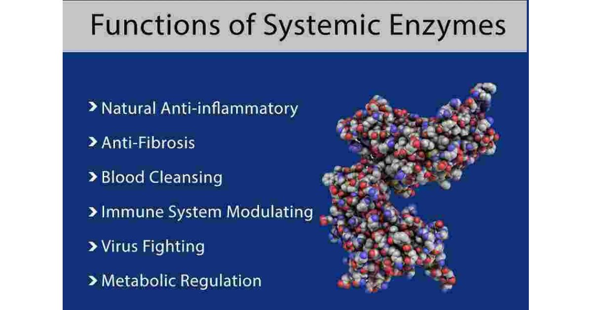 Systemic Meaning and Definition