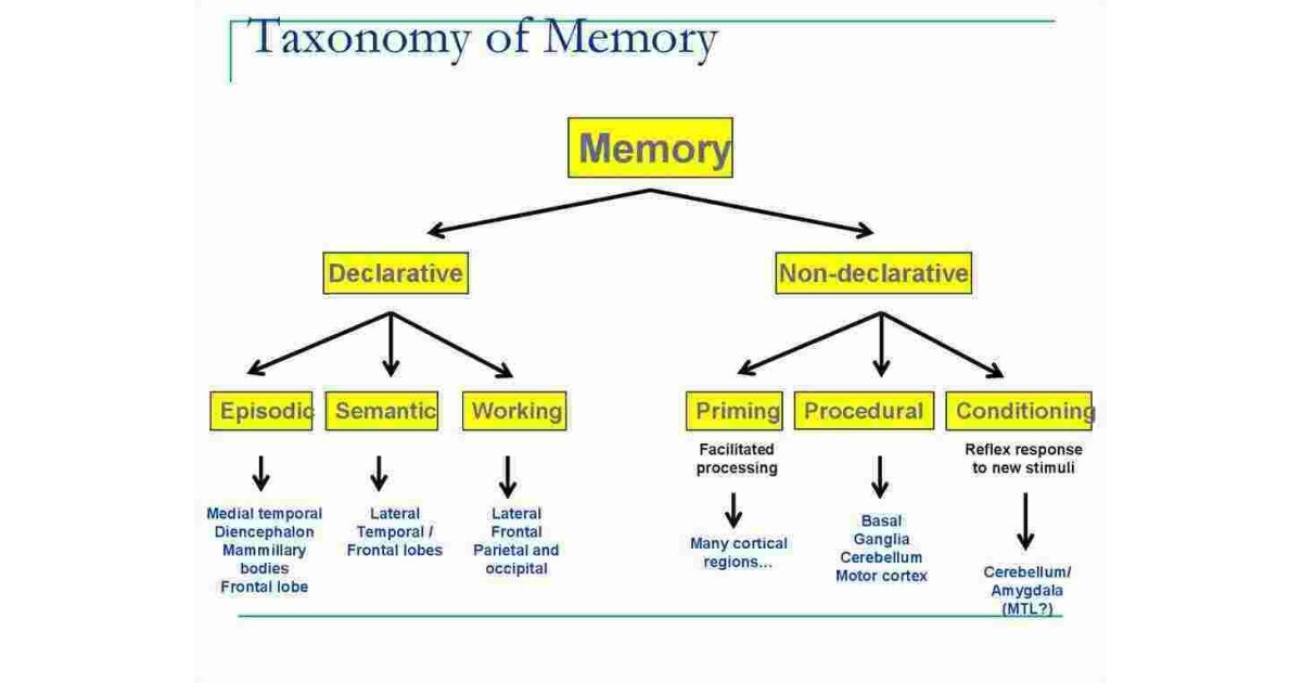 Taxonomy Meaning and Definition