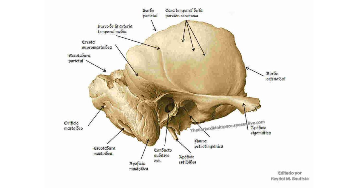 Temporal Meaning and Definition