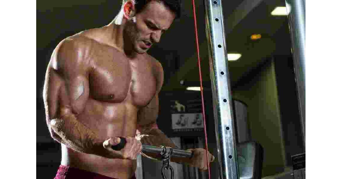 Testosterone Meaning and Definition