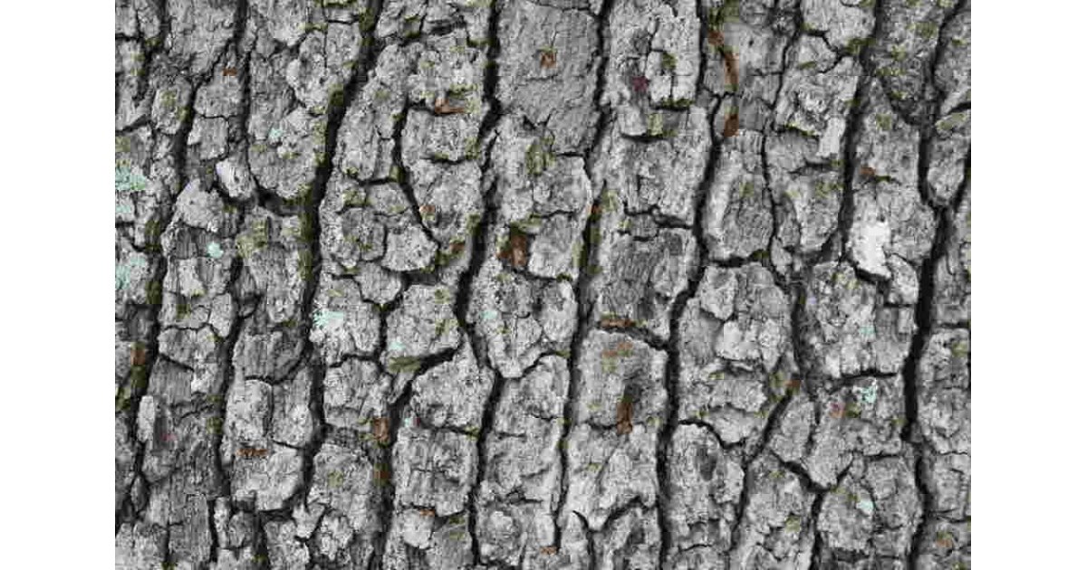 Texture Meaning and Definition