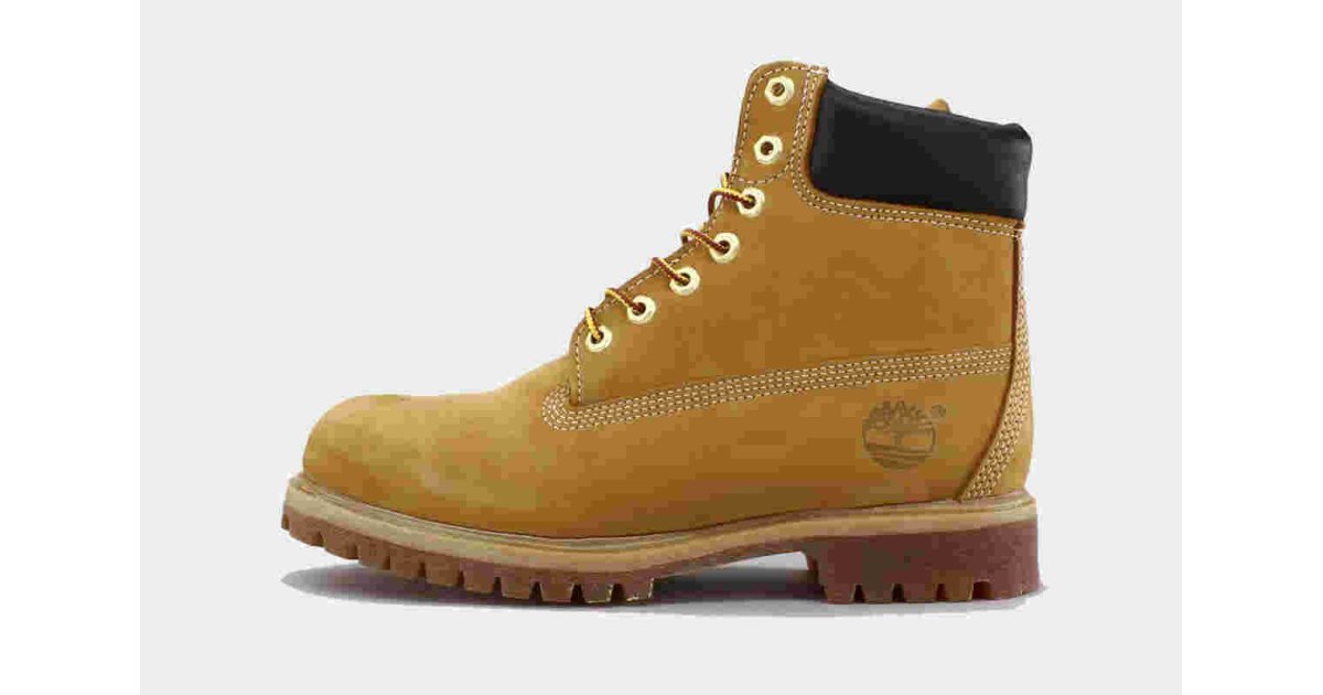 Timberland Meaning and Definition