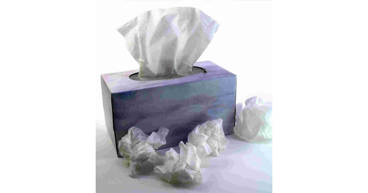 Tissue Meaning and Definition