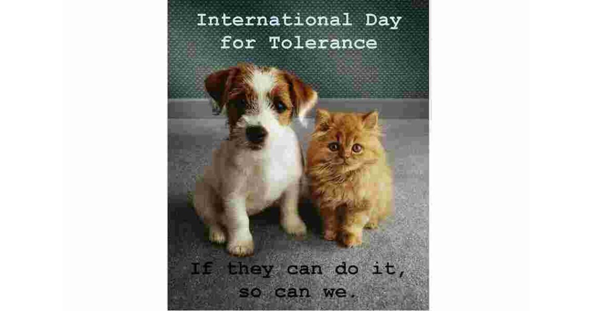 Tolerance Meaning and Definition