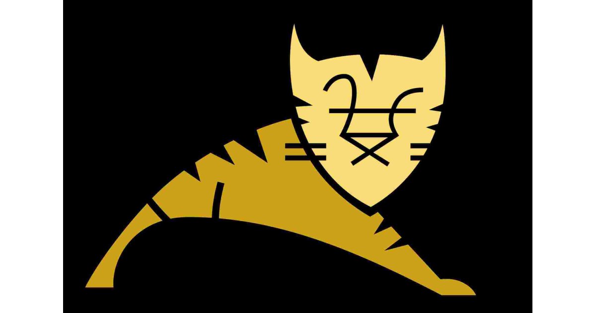 Tomcat Meaning and Definition