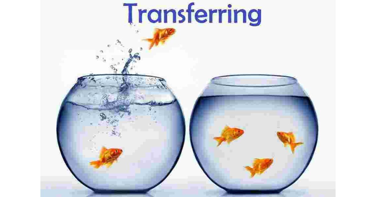 Transferring Meaning and Definition