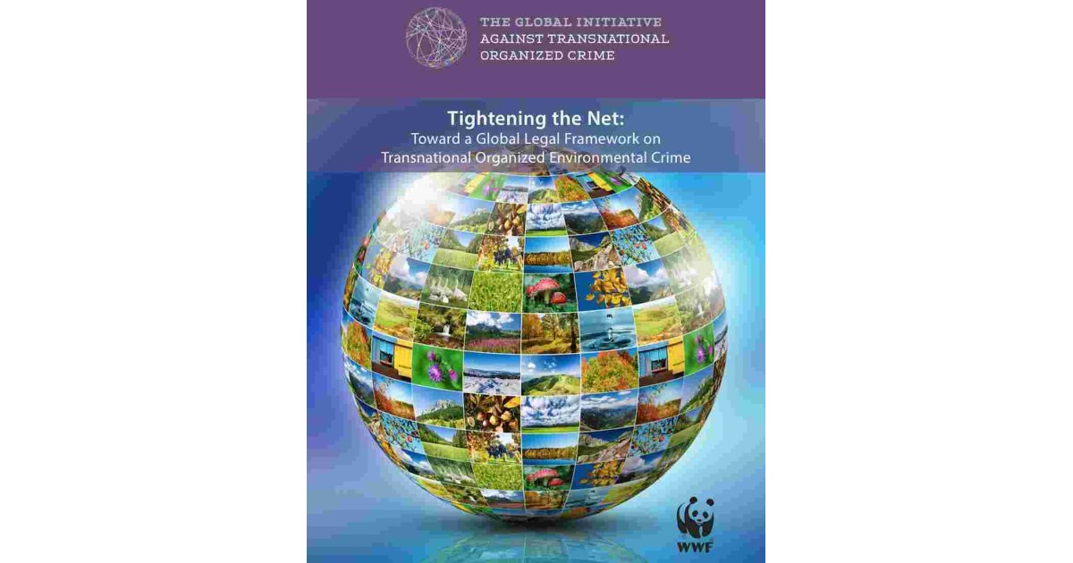 Transnational Meaning and Definition