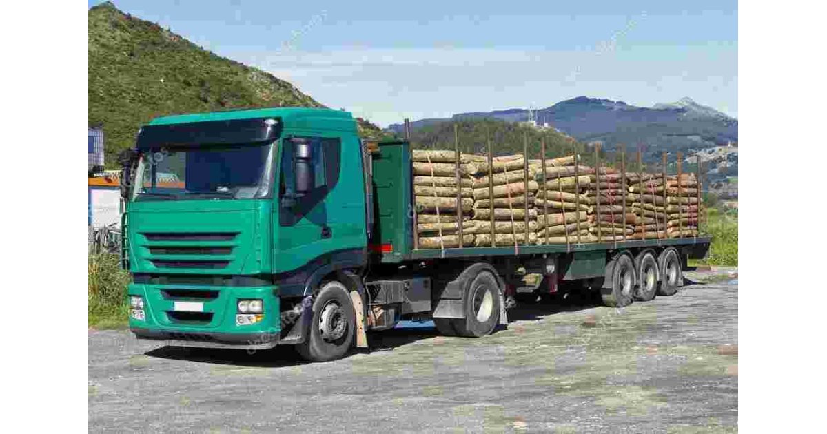 Transporting Meaning and Definition