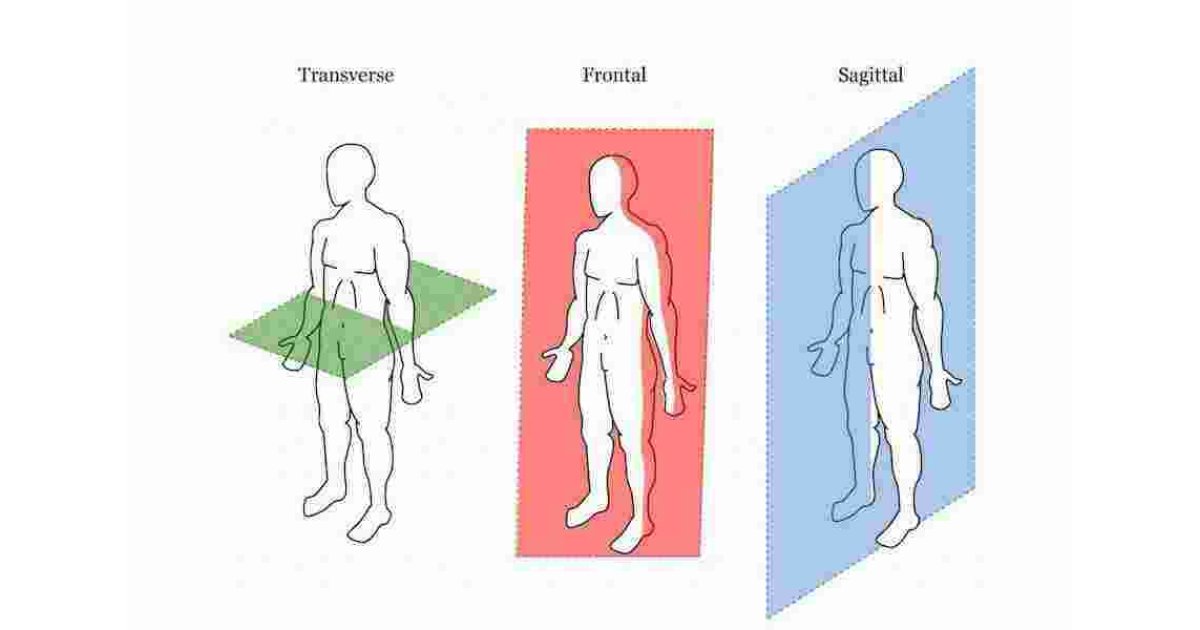 Transverse Meaning and Definition