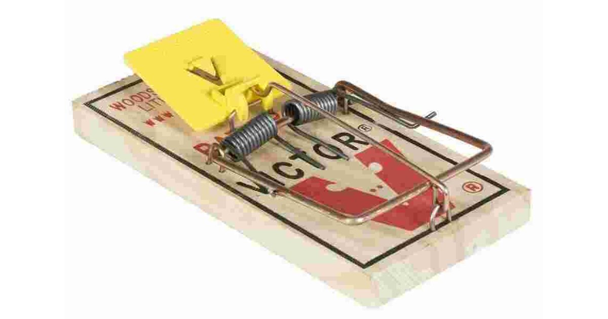 Trap Meaning and Definition