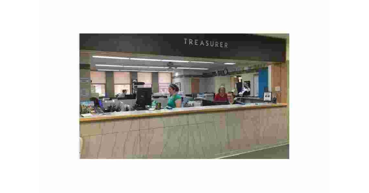 Treasurer Meaning and Definition