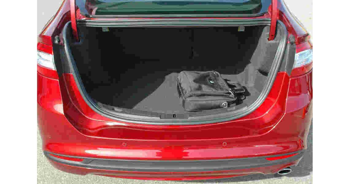 Trunk Meaning and Definition