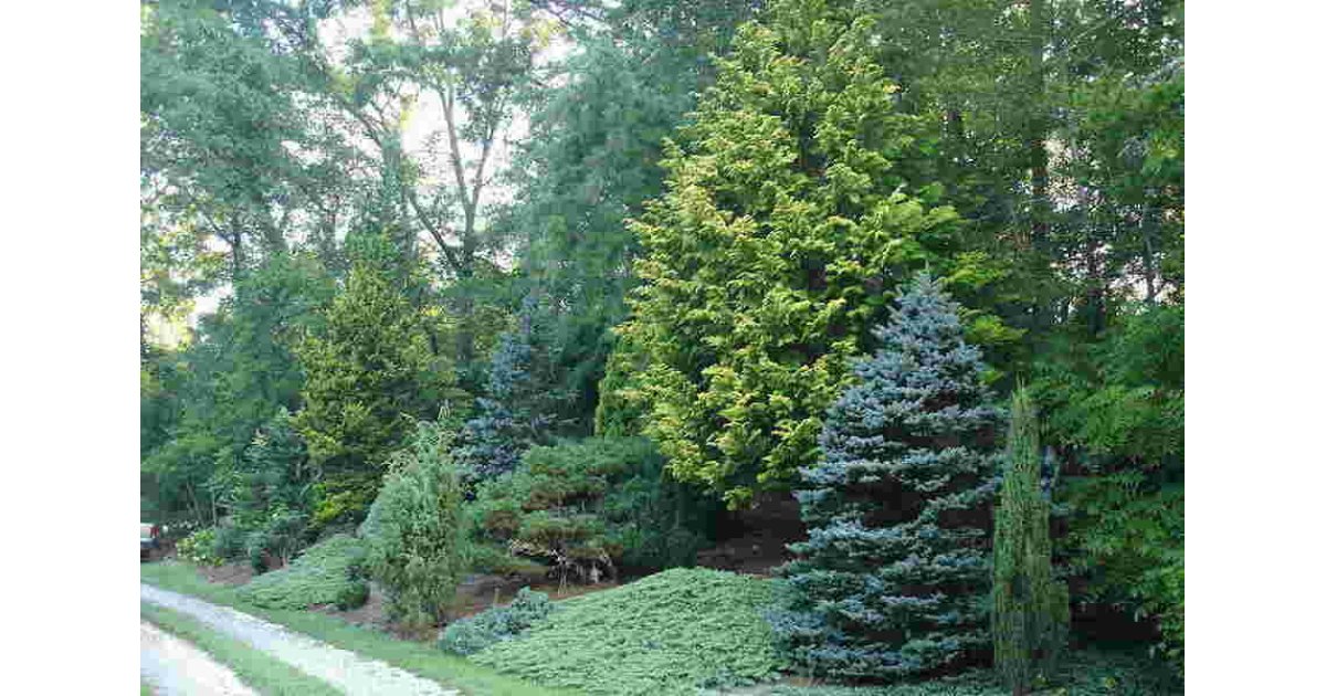 Underwood Meaning and Definition