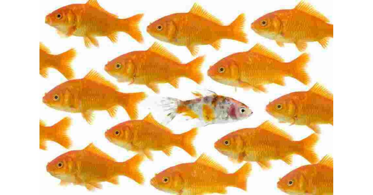 Unique Meaning and Definition