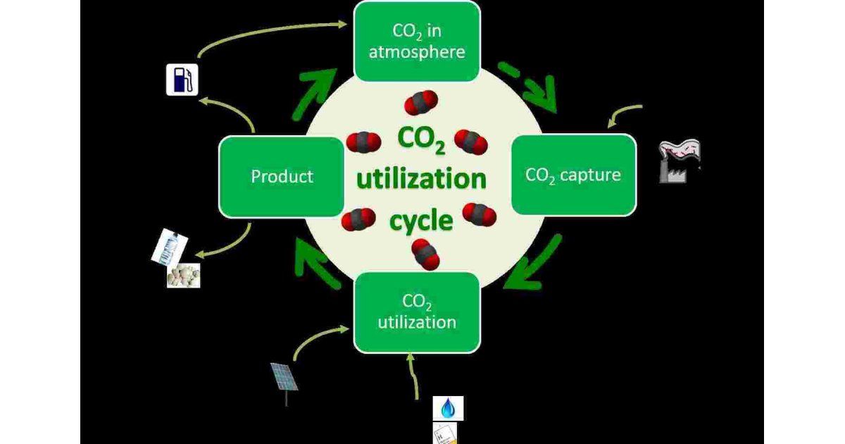 Utilization Meaning and Definition
