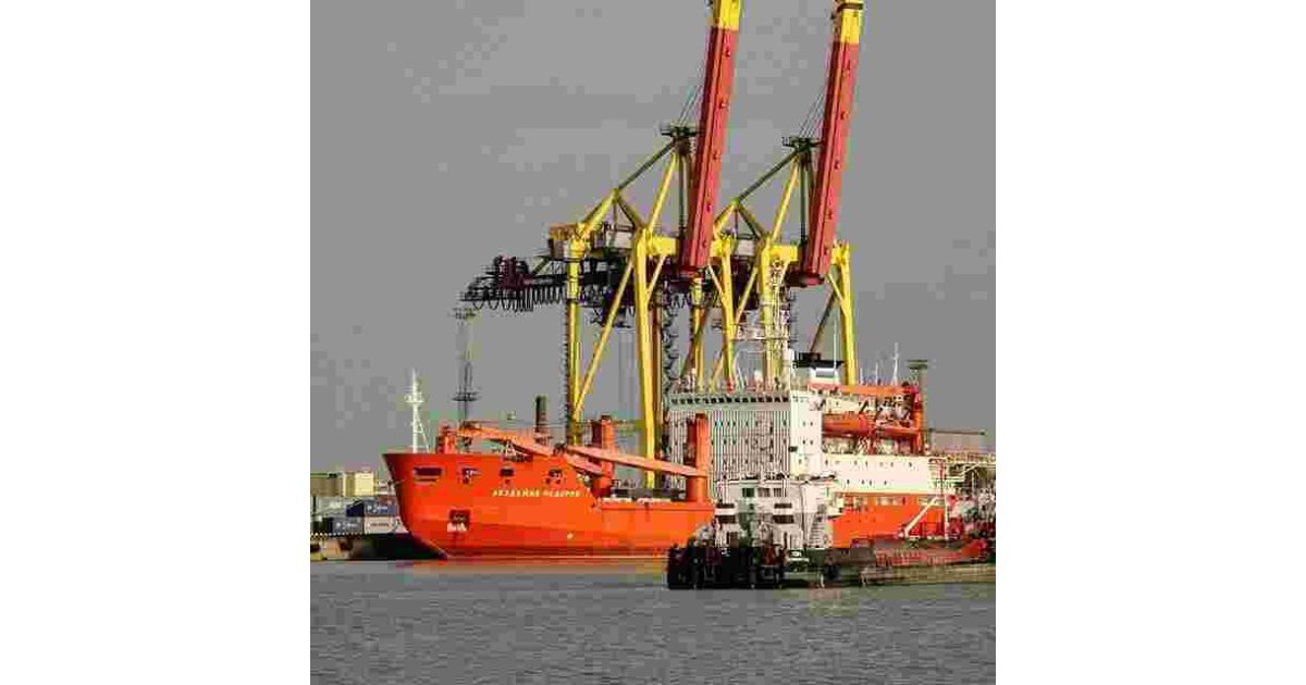 Vessels Meaning and Definition