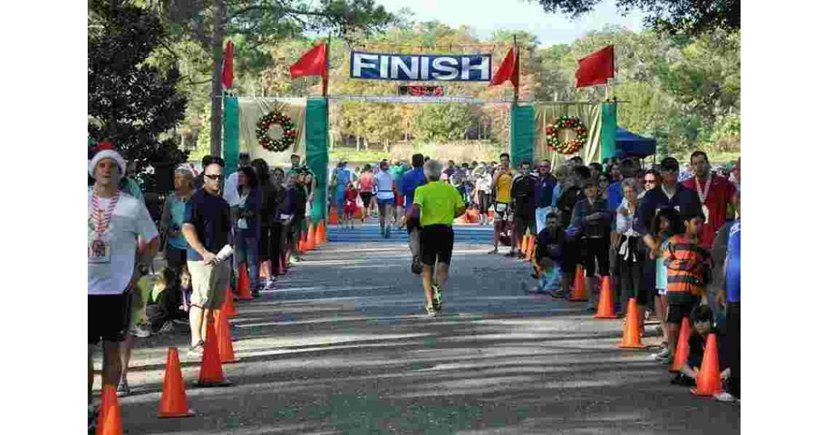 Vie Meaning and Definition