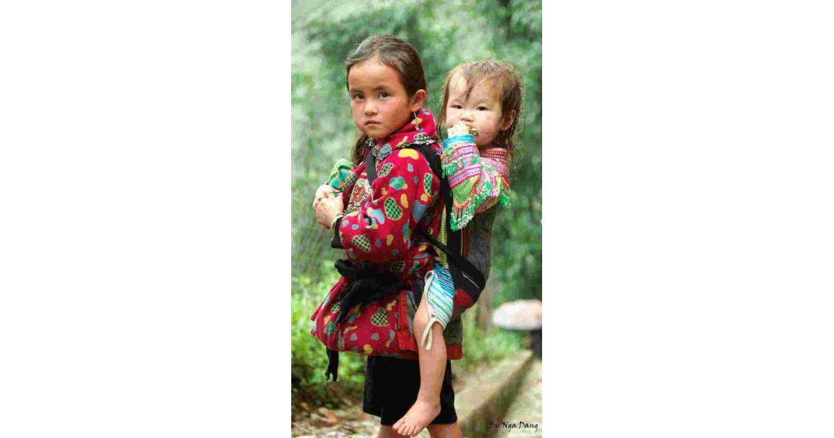 Vietnamese Meaning and Definition