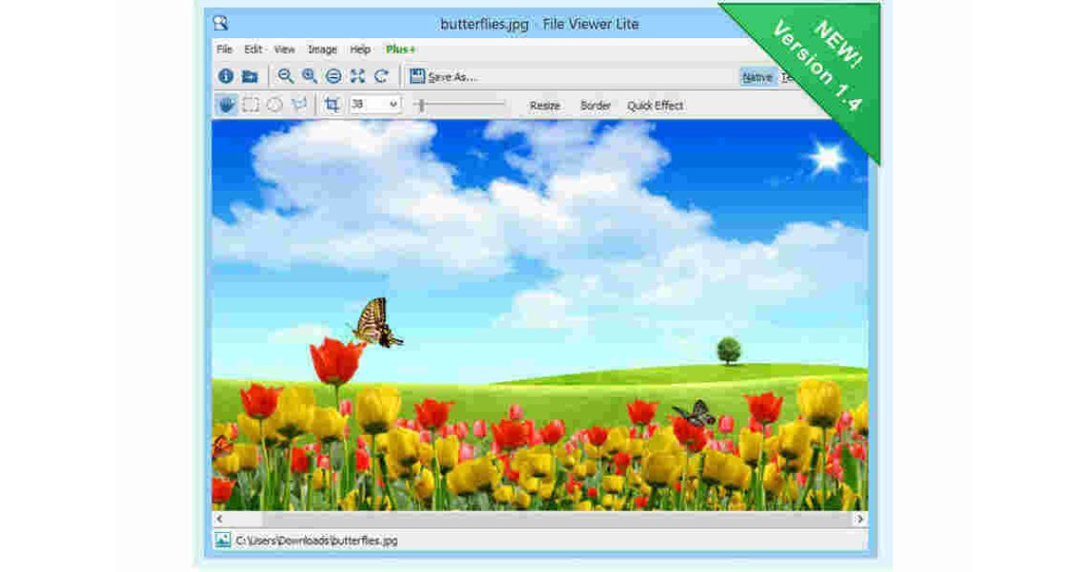 Viewer Meaning and Definition