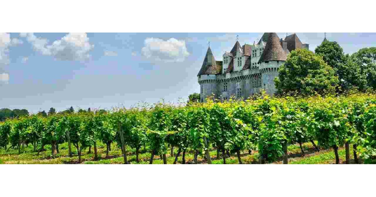 Vineyard Meaning and Definition