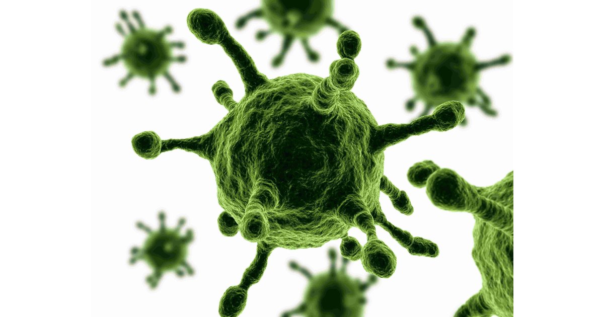 Virus Meaning and Definition