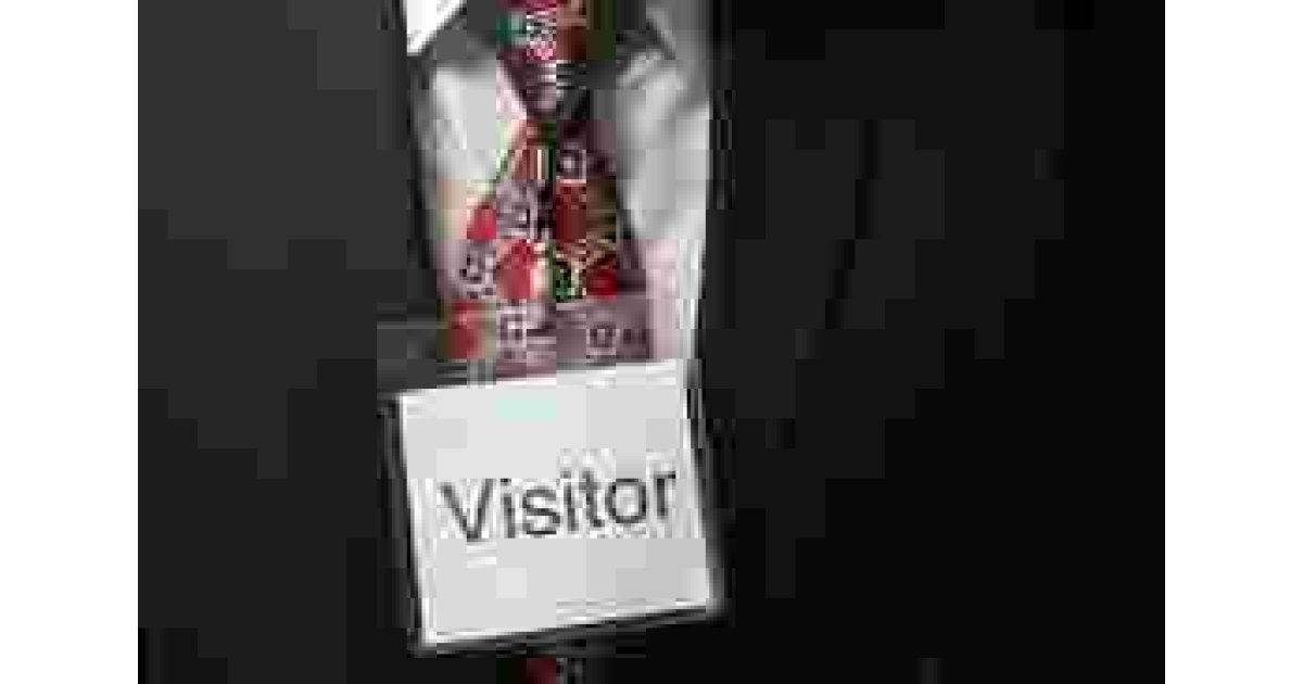 Visitor Meaning and Definition