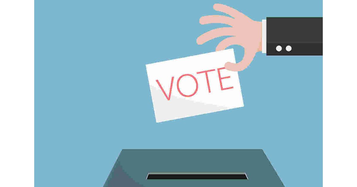 Vote Meaning and Definition