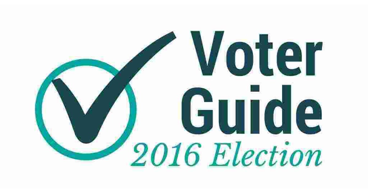 Voter Meaning and Definition