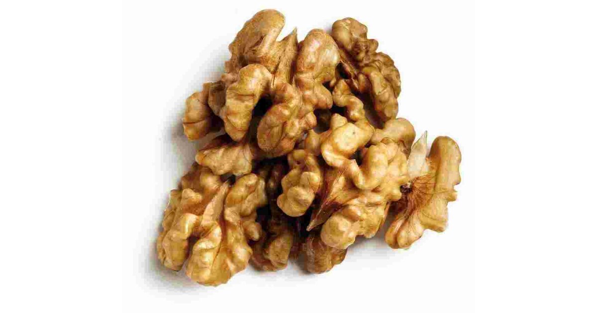 Walnut Meaning and Definition