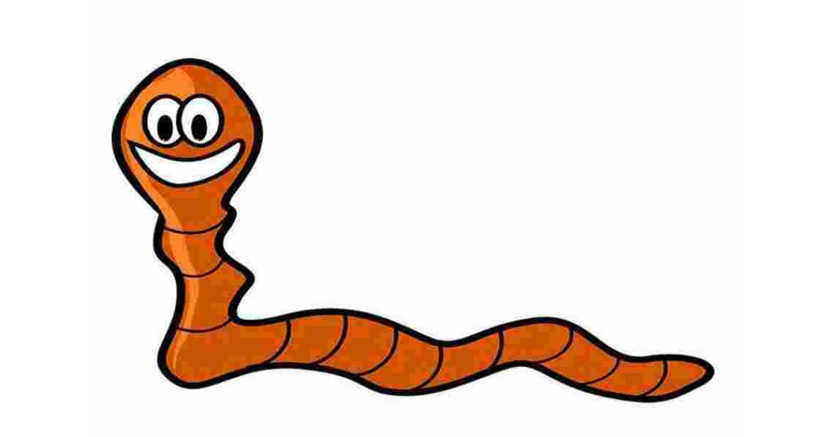 Worm Meaning and Definition