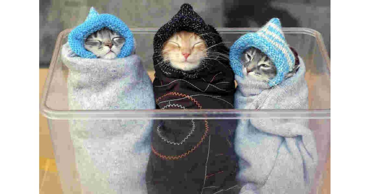 Wrapped Meaning and Definition