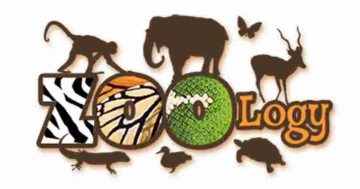 Zoology Meaning and Definition