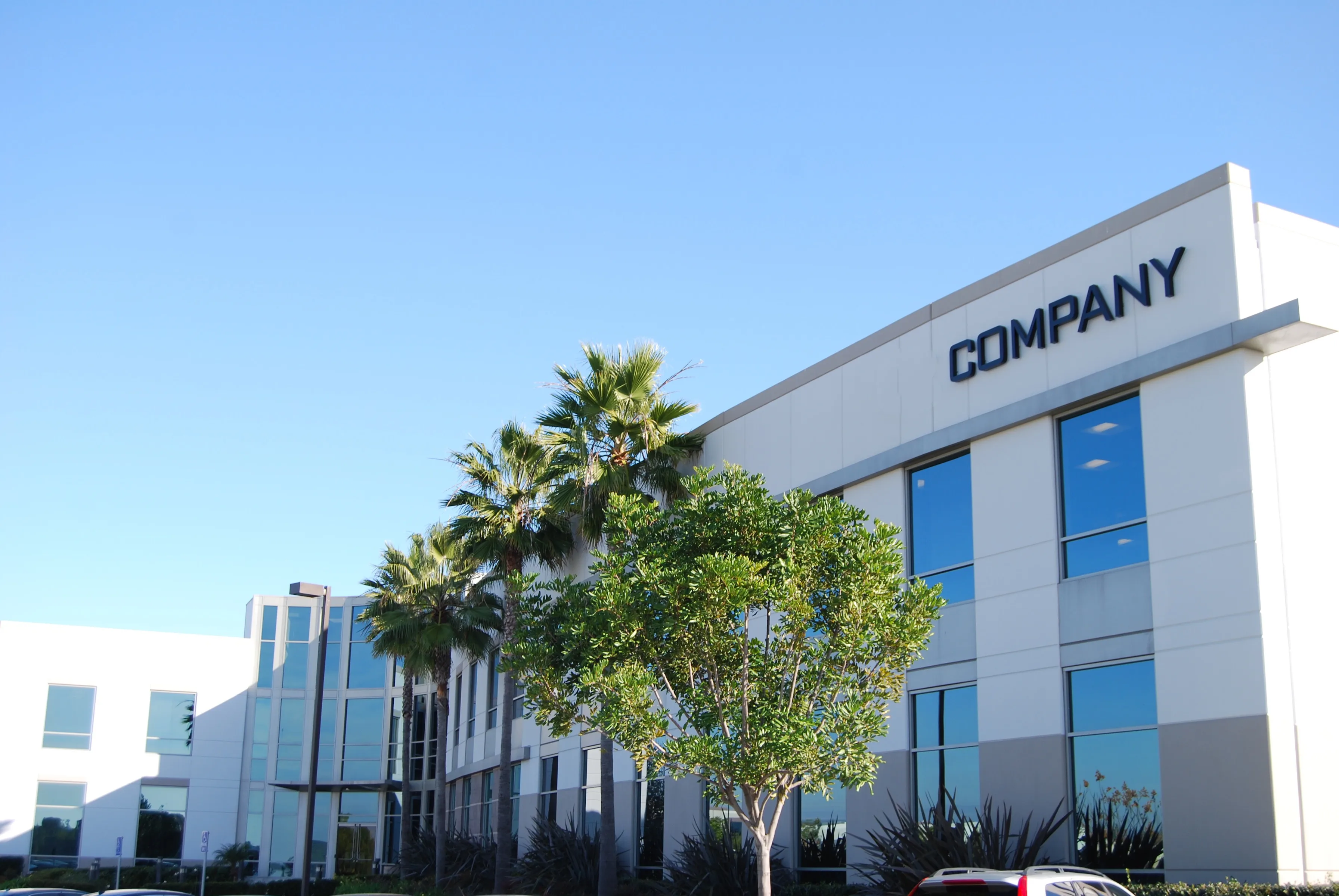 Can non-Turkish citizens establish an online company in Türkiye?