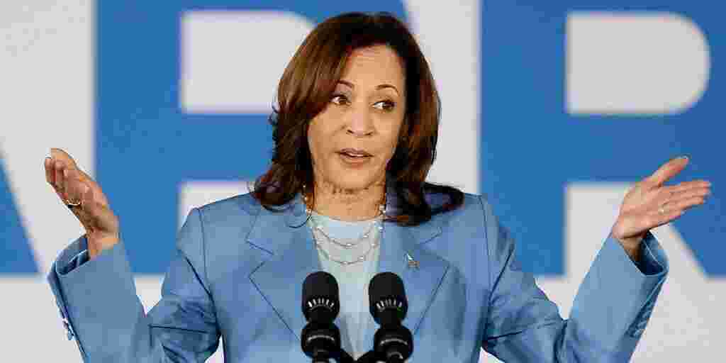 Kamala Harris reassures Democratic Party donors that there's nothing to worry about 