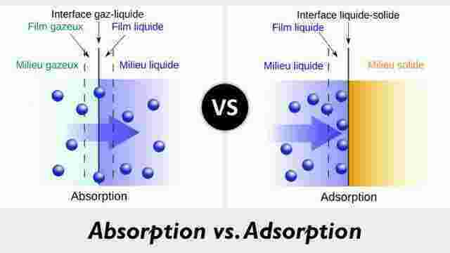 Absorption Meaning and Definition