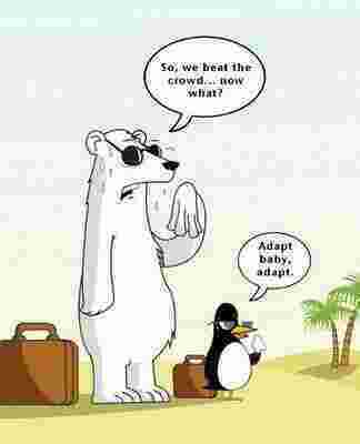 Adapt Meaning and Definition